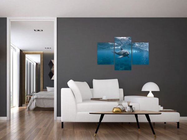 Tablou - Delfin sub apă (90x60 cm)