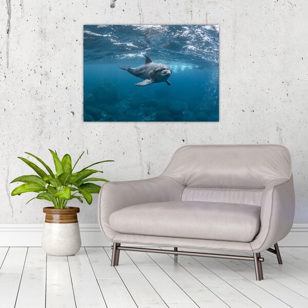 Tablou - Delfin sub apă (70x50 cm)