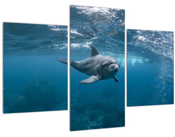 Tablou - Delfin sub apă (90x60 cm)