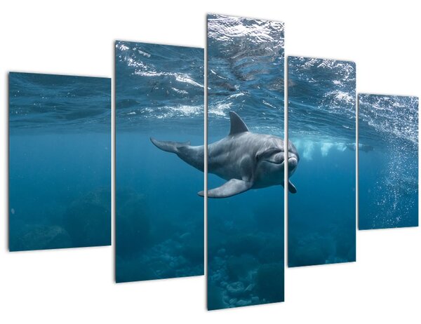 Tablou - Delfin sub apă (150x105 cm)