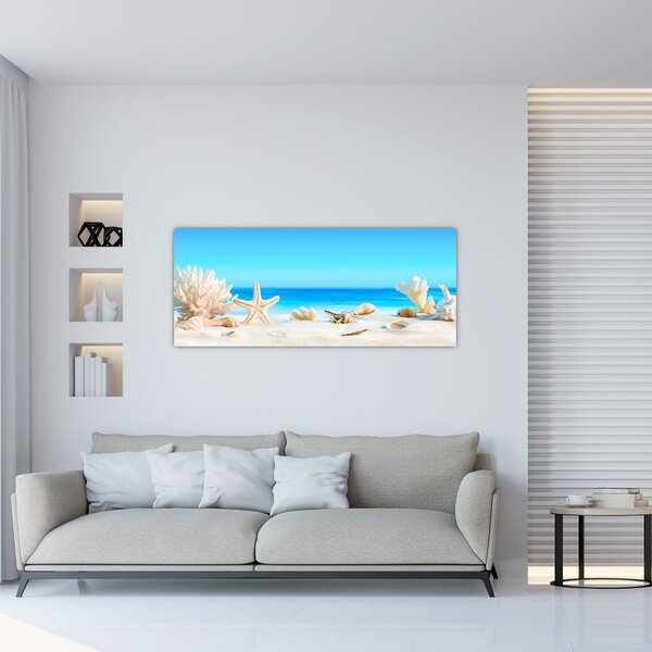 Tablou - Natura morta cu scoici (120x50 cm)