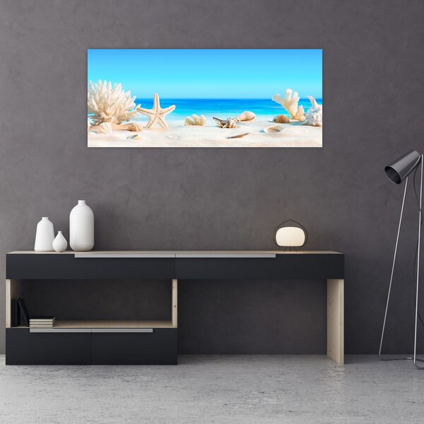 Tablou - Natura morta cu scoici (120x50 cm)