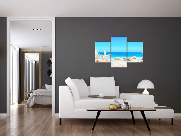 Tablou - Natura morta cu scoici (90x60 cm)