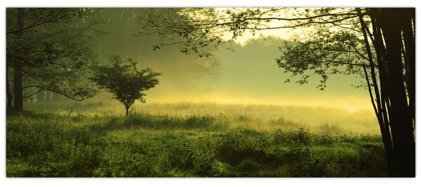 Tablou - Pădurea trezită (120x50 cm)