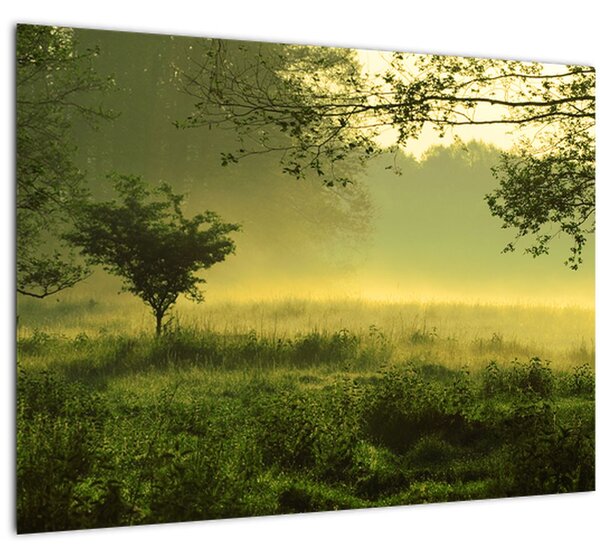 Tablou - Pădurea trezită (70x50 cm)