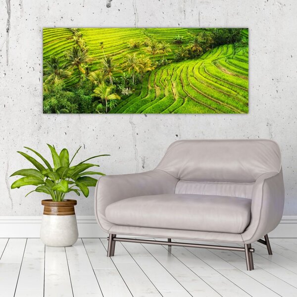 Tablou - Terase de orez (120x50 cm)