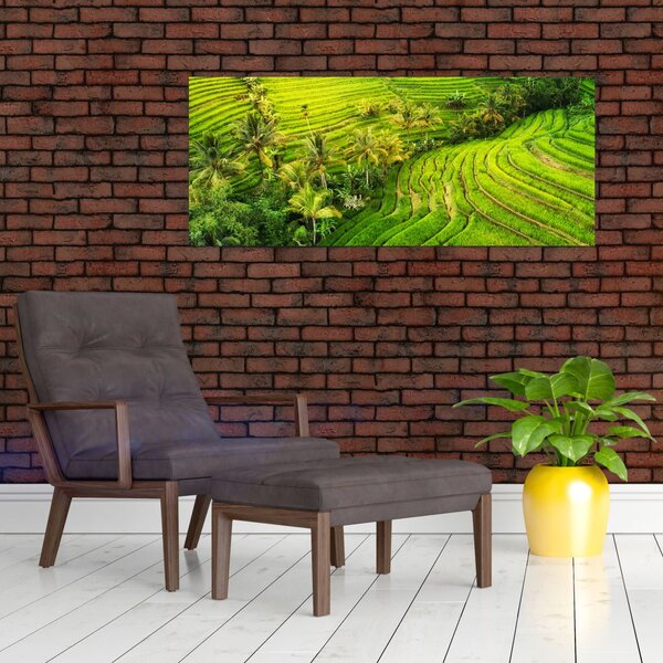 Tablou - Terase de orez (120x50 cm)