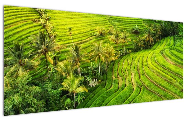 Tablou - Terase de orez (120x50 cm)