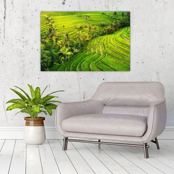 Tablou - Terase de orez (90x60 cm)