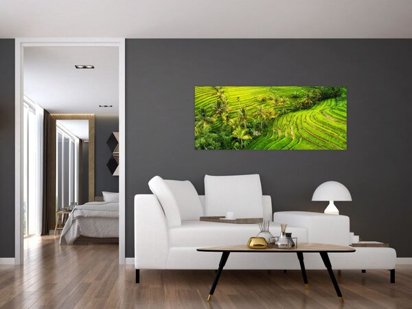 Tablou - Terase de orez (120x50 cm)