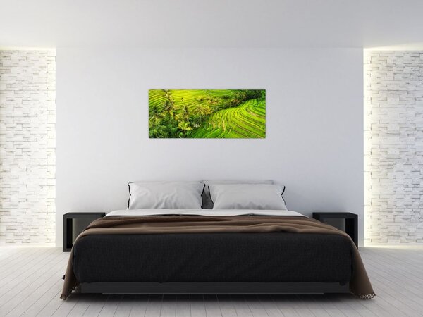 Tablou - Terase de orez (120x50 cm)