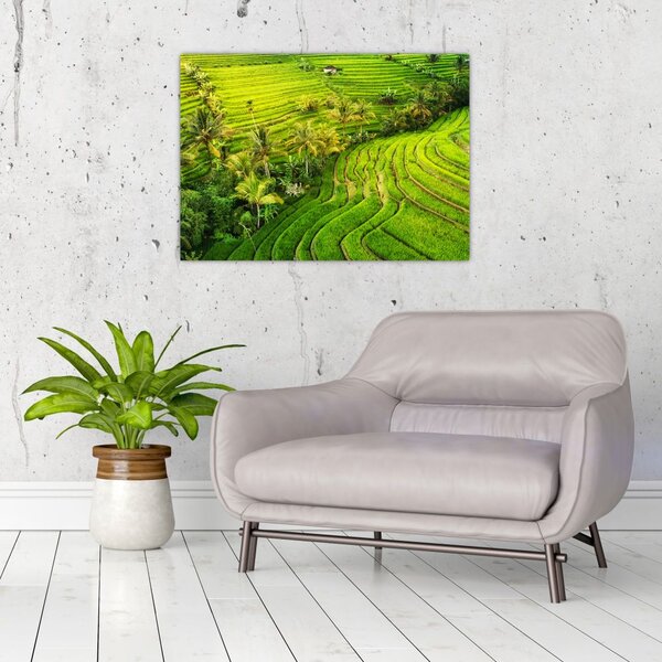 Tablou - Terase de orez (70x50 cm)