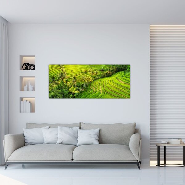 Tablou - Terase de orez (120x50 cm)