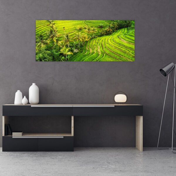 Tablou - Terase de orez (120x50 cm)
