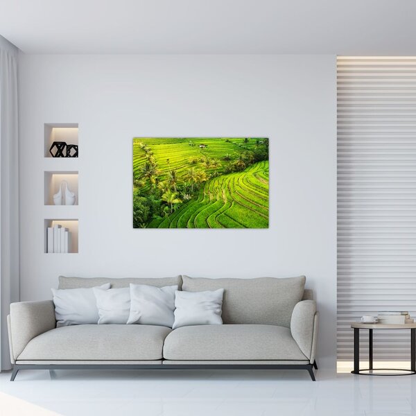 Tablou - Terase de orez (90x60 cm)