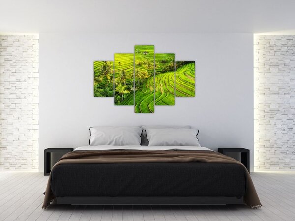 Tablou - Terase de orez (150x105 cm)