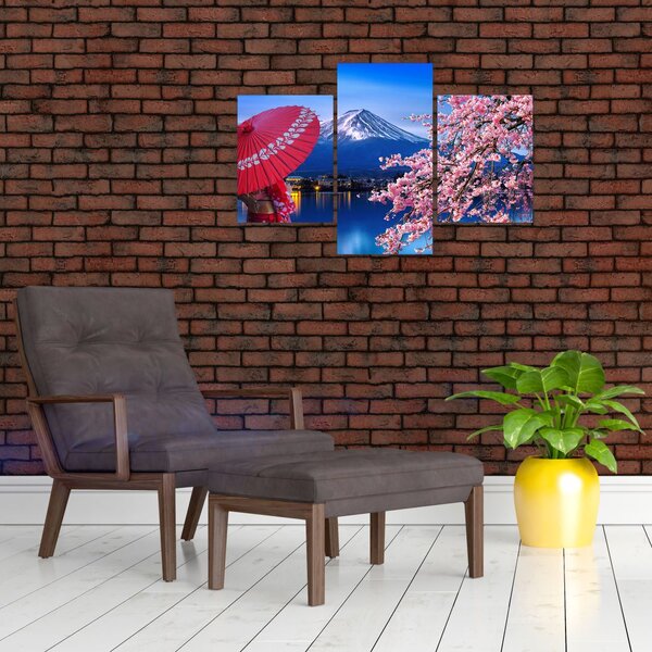 Tablou - cu privire la munte - Japonia (90x60 cm)