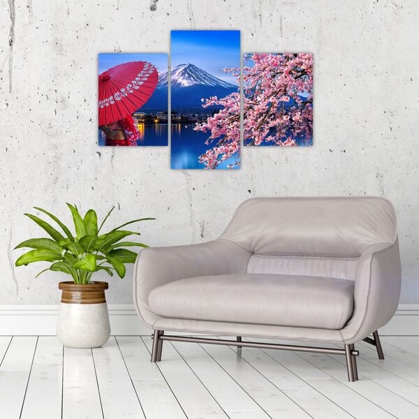 Tablou - cu privire la munte - Japonia (90x60 cm)