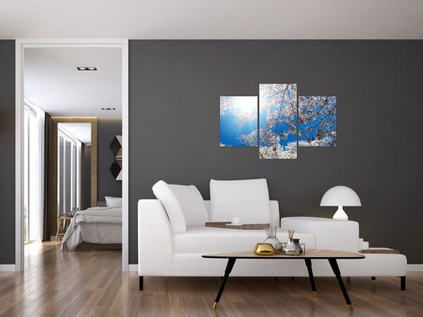 Tablou - Flori de cireș (90x60 cm)