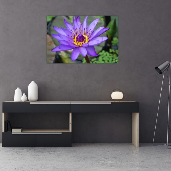 Tablou - Floare violet (90x60 cm)
