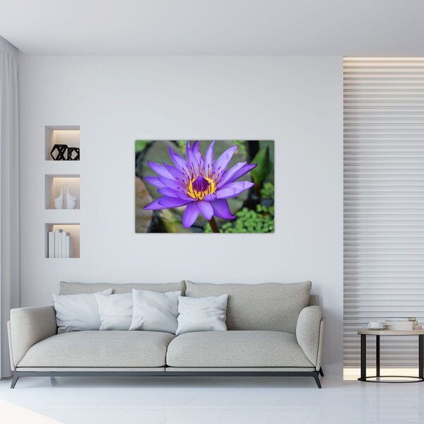 Tablou - Floare violet (90x60 cm)