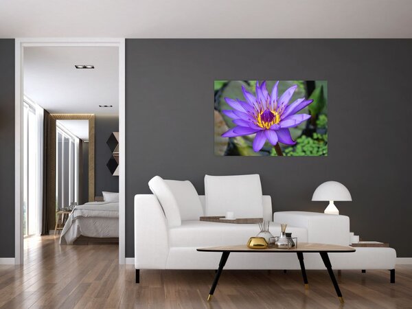 Tablou - Floare violet (90x60 cm)