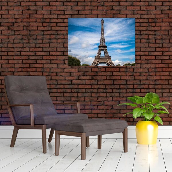 Tablou - Turnul Eiffel (70x50 cm)