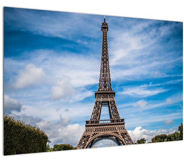 Tablou - Turnul Eiffel (90x60 cm)