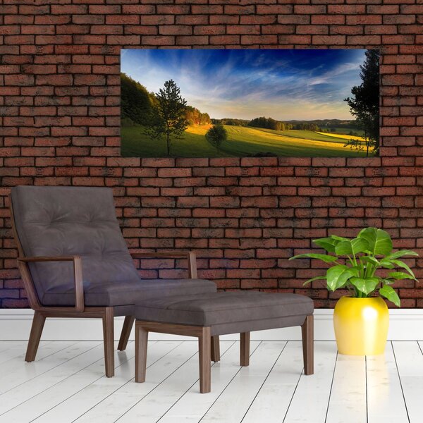Tablou - Lunca de munte (120x50 cm)
