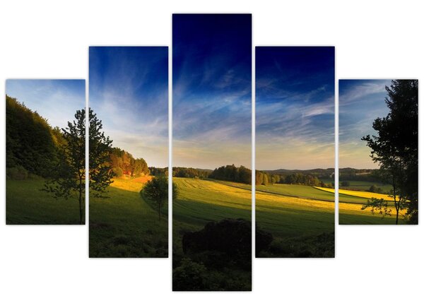 Tablou - Lunca de munte (150x105 cm)
