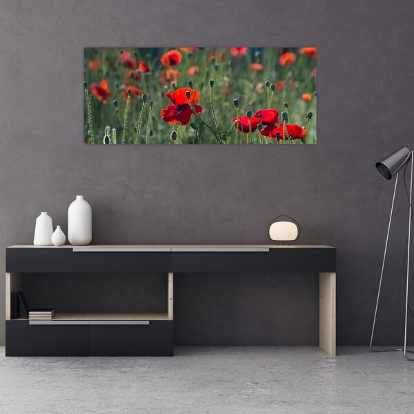 Tablou - Lunca cu maci (120x50 cm)