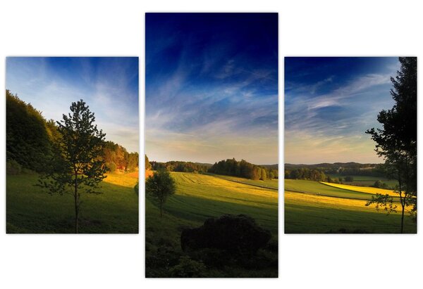 Tablou - Lunca de munte (90x60 cm)