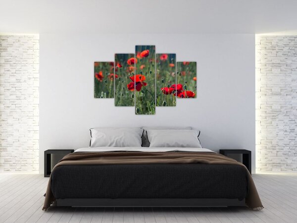 Tablou - Lunca cu maci (150x105 cm)