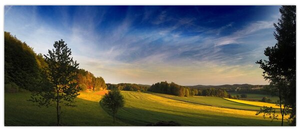 Tablou - Lunca de munte (120x50 cm)