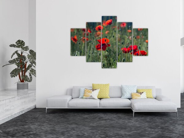 Tablou - Lunca cu maci (150x105 cm)