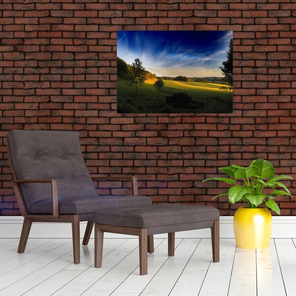 Tablou - Lunca de munte (70x50 cm)