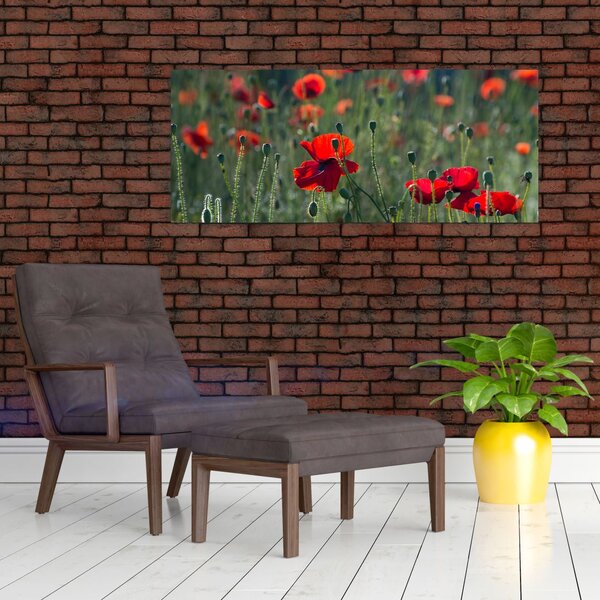 Tablou - Lunca cu maci (120x50 cm)