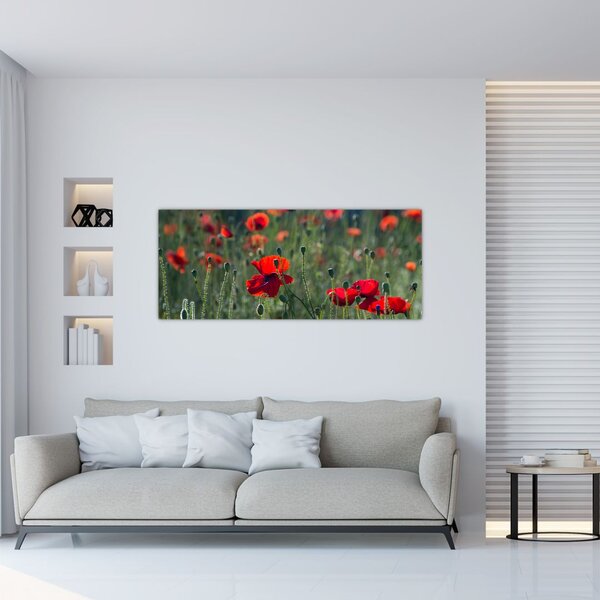 Tablou - Lunca cu maci (120x50 cm)