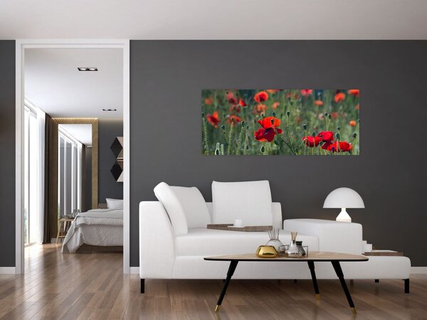 Tablou - Lunca cu maci (120x50 cm)