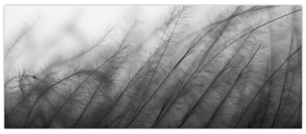 Tablou - Iarba în vânt (120x50 cm)