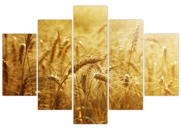 Tablou - Spice de cereale (150x105 cm)