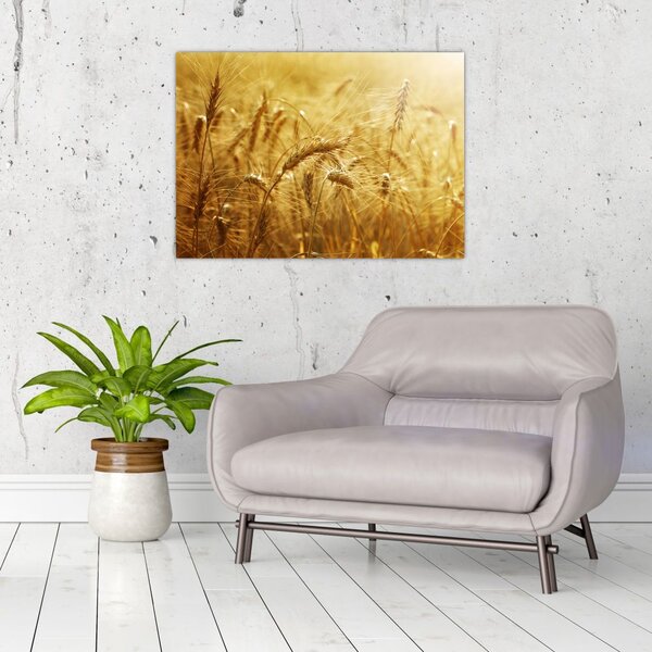 Tablou - Spice de cereale (70x50 cm)