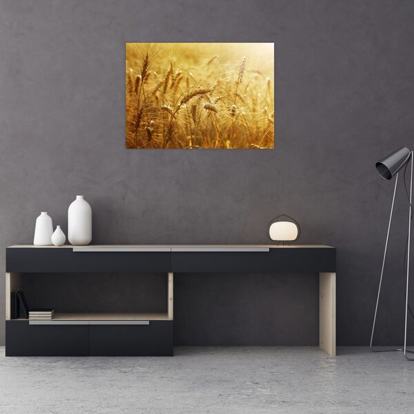 Tablou - Spice de cereale (70x50 cm)