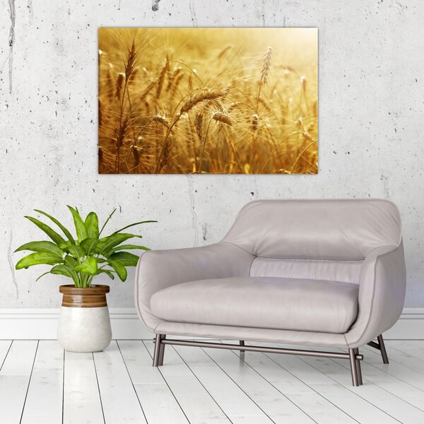 Tablou - Spice de cereale (90x60 cm)
