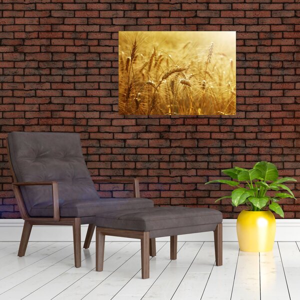 Tablou - Spice de cereale (70x50 cm)