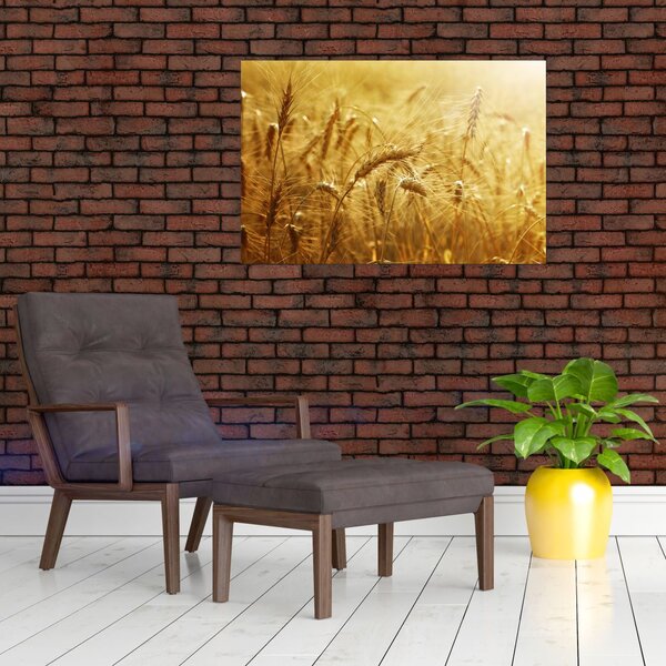 Tablou - Spice de cereale (90x60 cm)
