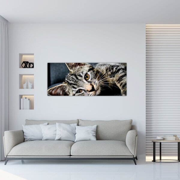 Tablou - Pisoi (120x50 cm)