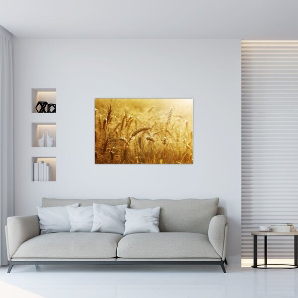 Tablou - Spice de cereale (90x60 cm)