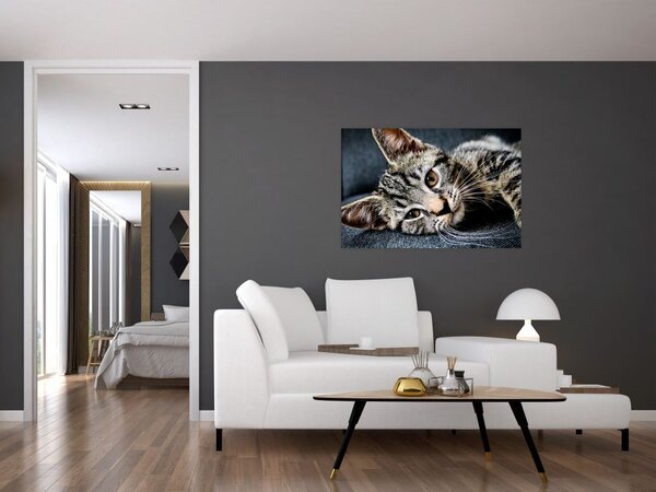 Tablou - Pisoi (90x60 cm)