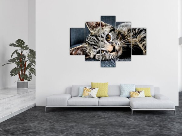 Tablou - Pisoi (150x105 cm)